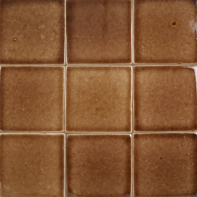 5 kg - PCI 56 Terrabrun